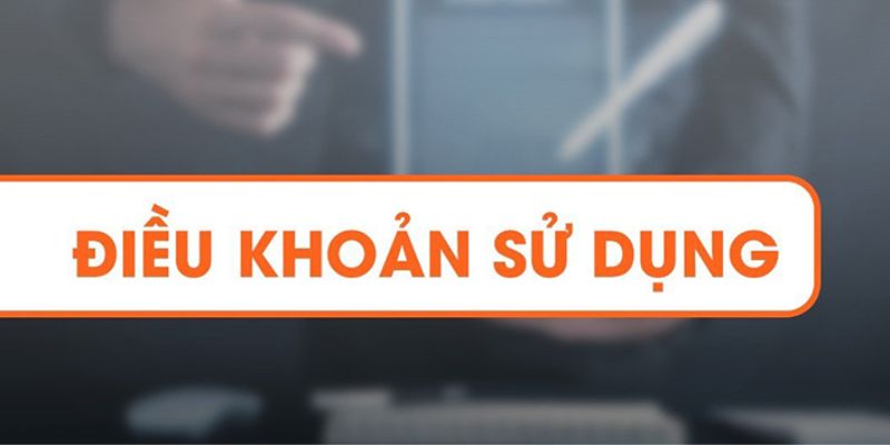 Tìm hiểu sơ lược về điều khoản sử dụng