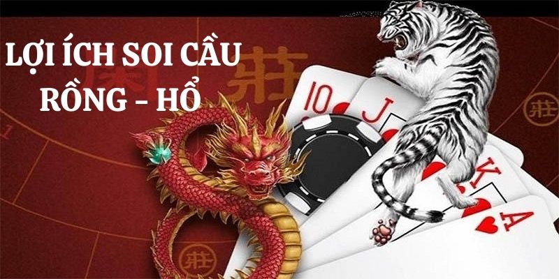 Lợi ích trong cách soi cầu Rồng Hổ là gì?