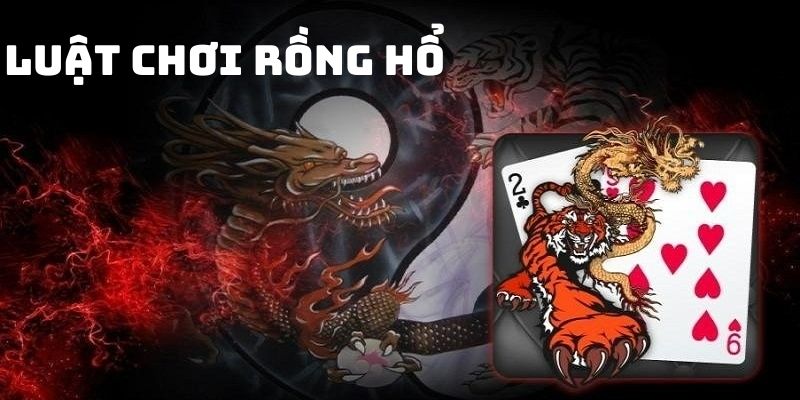 Luật chơi cần nắm trong cách soi cầu Rồng Hổ 