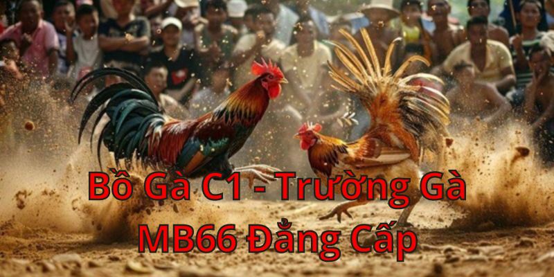 Bồ gà C1 tham gia trường gà online đẳng cấp tại 69VN