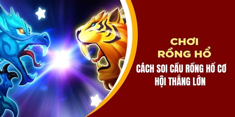 Cách soi cầu rồng hổ 69vn hiệu quả cho tân thủ